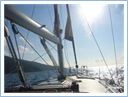 Island Vis