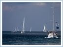 Team Regata 2016
