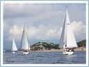Team Regata 2016