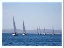Team Regata 2016