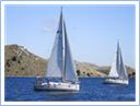 Team Regata 2016