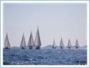 Team Regata 2016