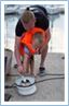 Team Regata 2016